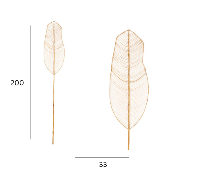 Rattan Leaf