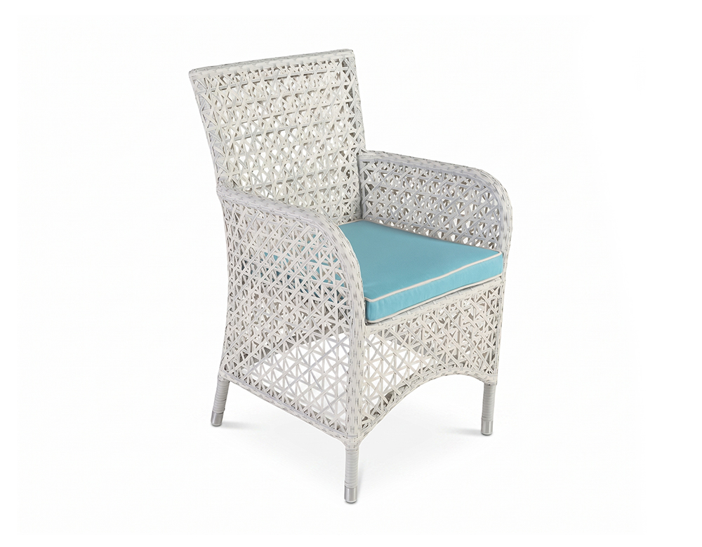 RICO ICONIC DINING CHAIR